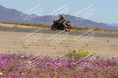 media/Mar-12-2023-SoCal Trackdays (Sun) [[d4c8249724]]/Turn 15 Inside Bloom (130pm)/